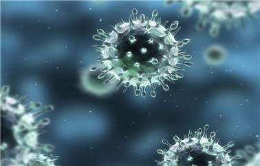 coronavirus covid-19 (2)